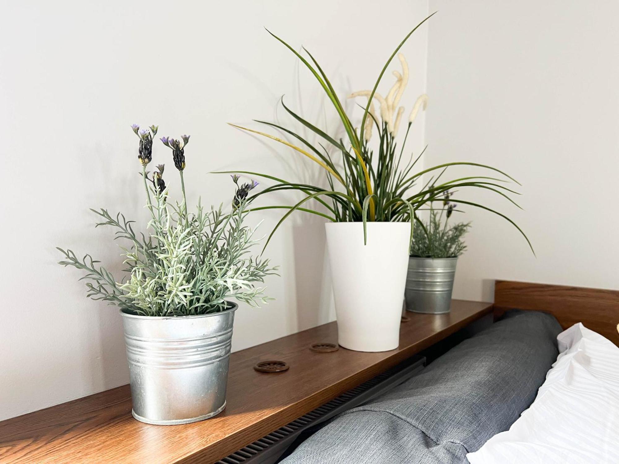 3D Szlak 77 Apartament Krakau Buitenkant foto